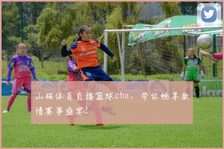 山猫体育直播篮球cba，带你畅享激情赛事盛宴！