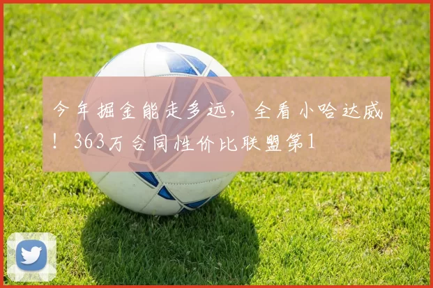 今年掘金能走多远，全看小哈达威！363万合同性价比联盟第1