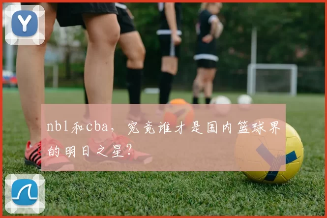 nbl和cba，究竟谁才是国内篮球界的明日之星？